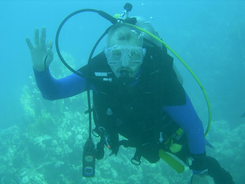 MANGROVE 07  2008 060.jpg